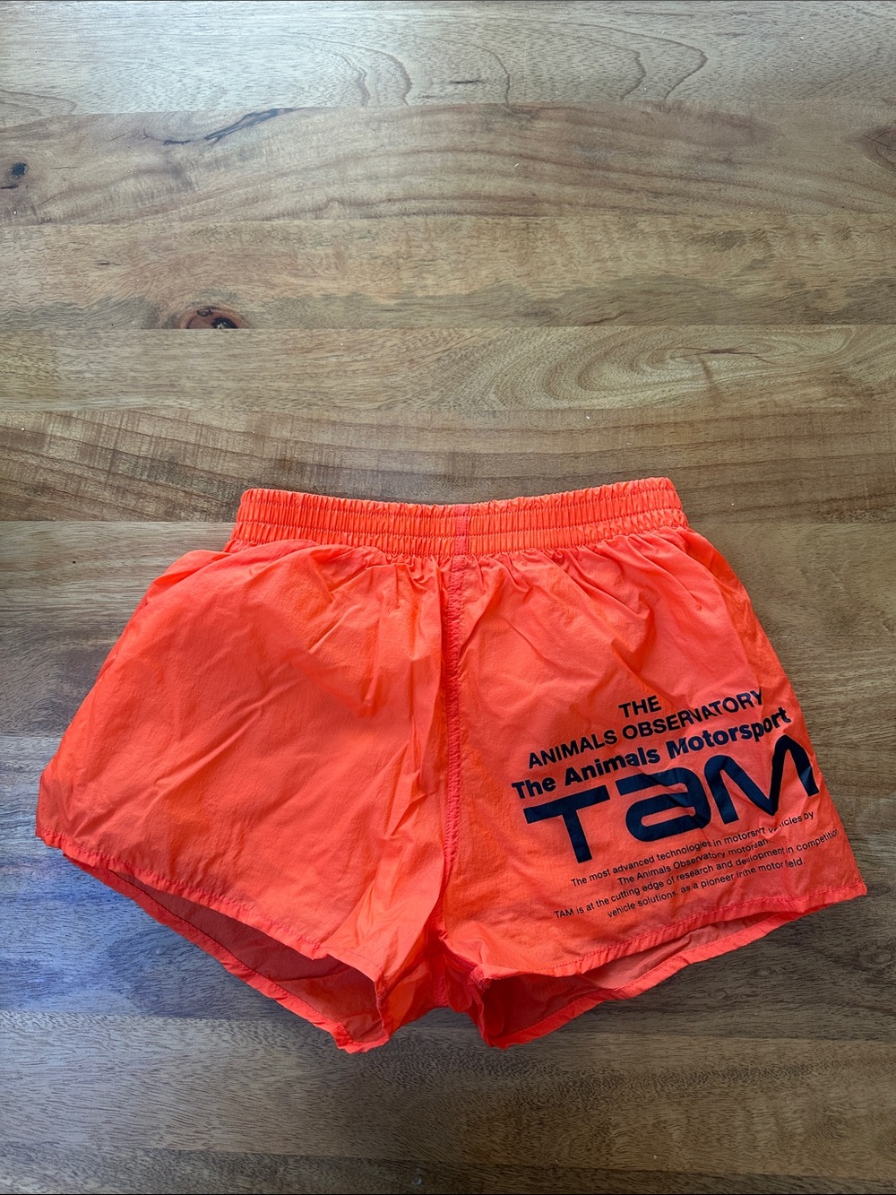 The Animals Observatory- TAM SpiderBright Orange Athletic Shorts with Black Logo
